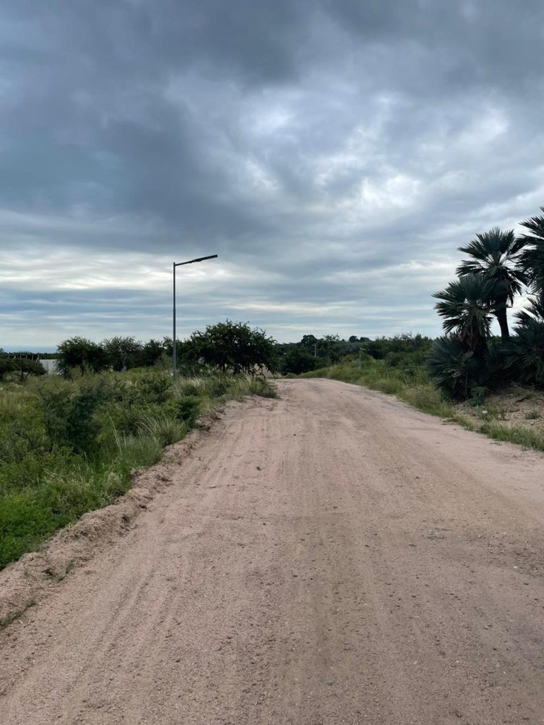 VENDE LOTE EN PAPAGAYOS, SAN LUIS