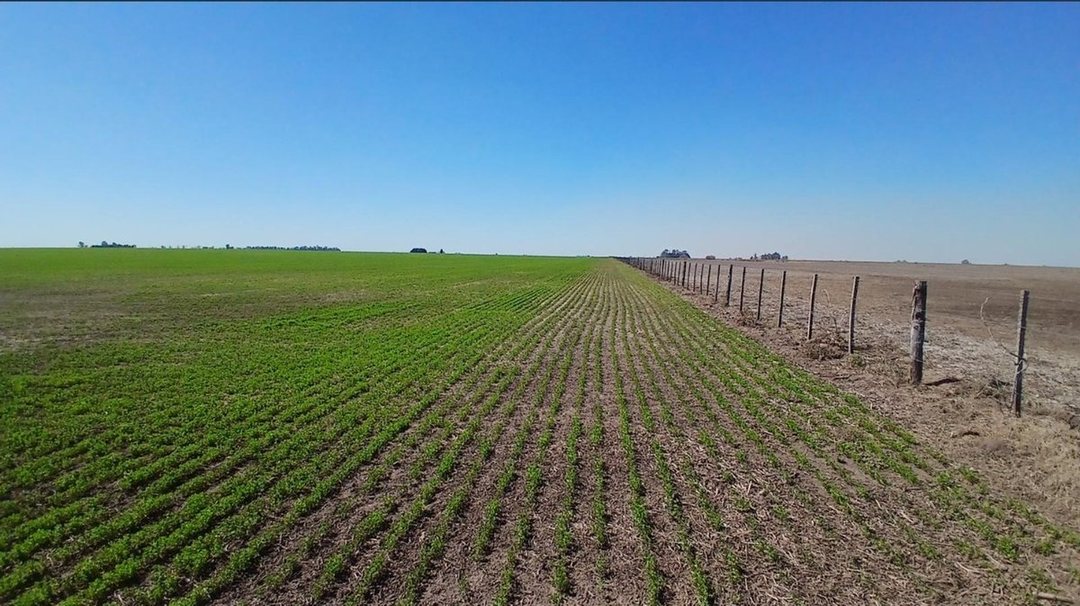 Se vende campo de 201 Has. en Sta. Teresa, Sta. Fe