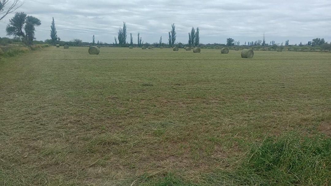 Venta de campo en Bowen, Gral Alvear