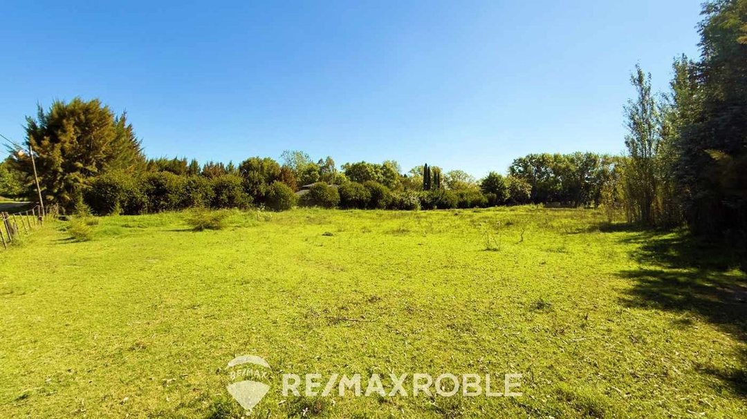 LOTE EN VENTA EN GOMEZ DE 4268M2