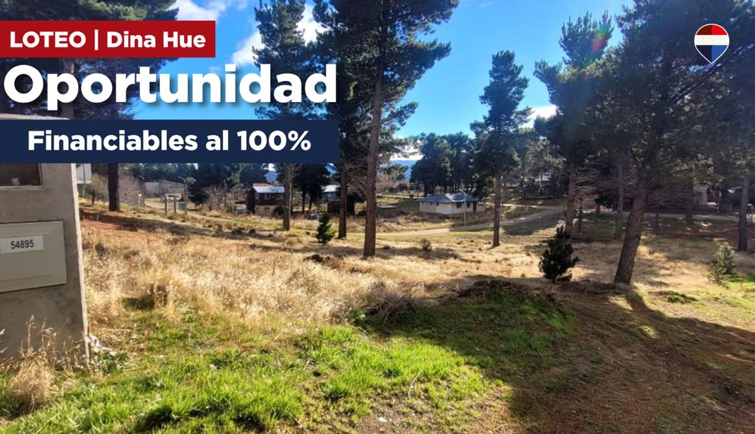 Loteo (Nogales y Petunias) Dina Huapi – Dina Hue