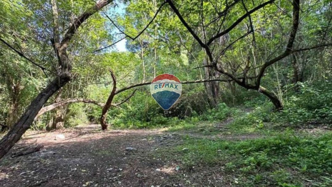 VENTA TERRENO 9667,20 M2 LOS PERALES