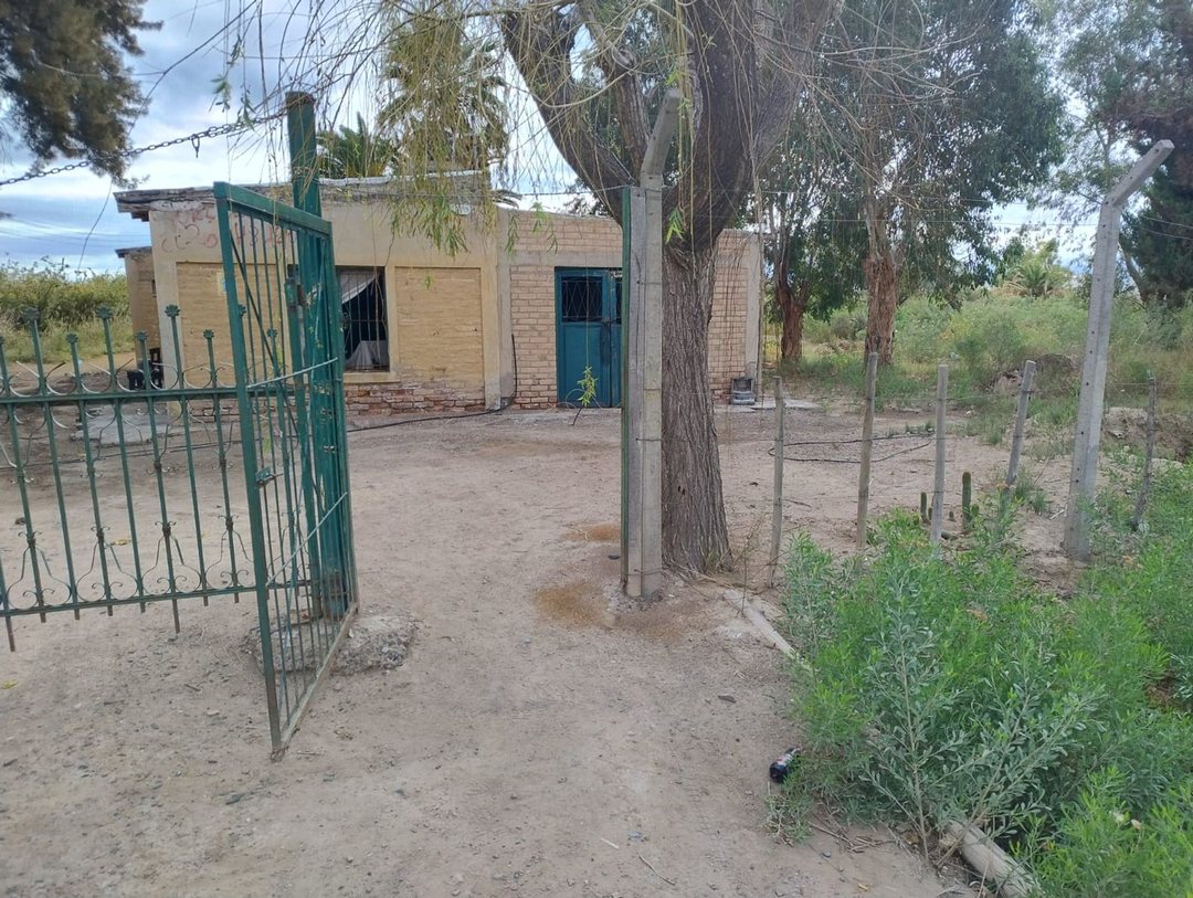 Finca con producción. Uva y Membrillos. 25 de mayo