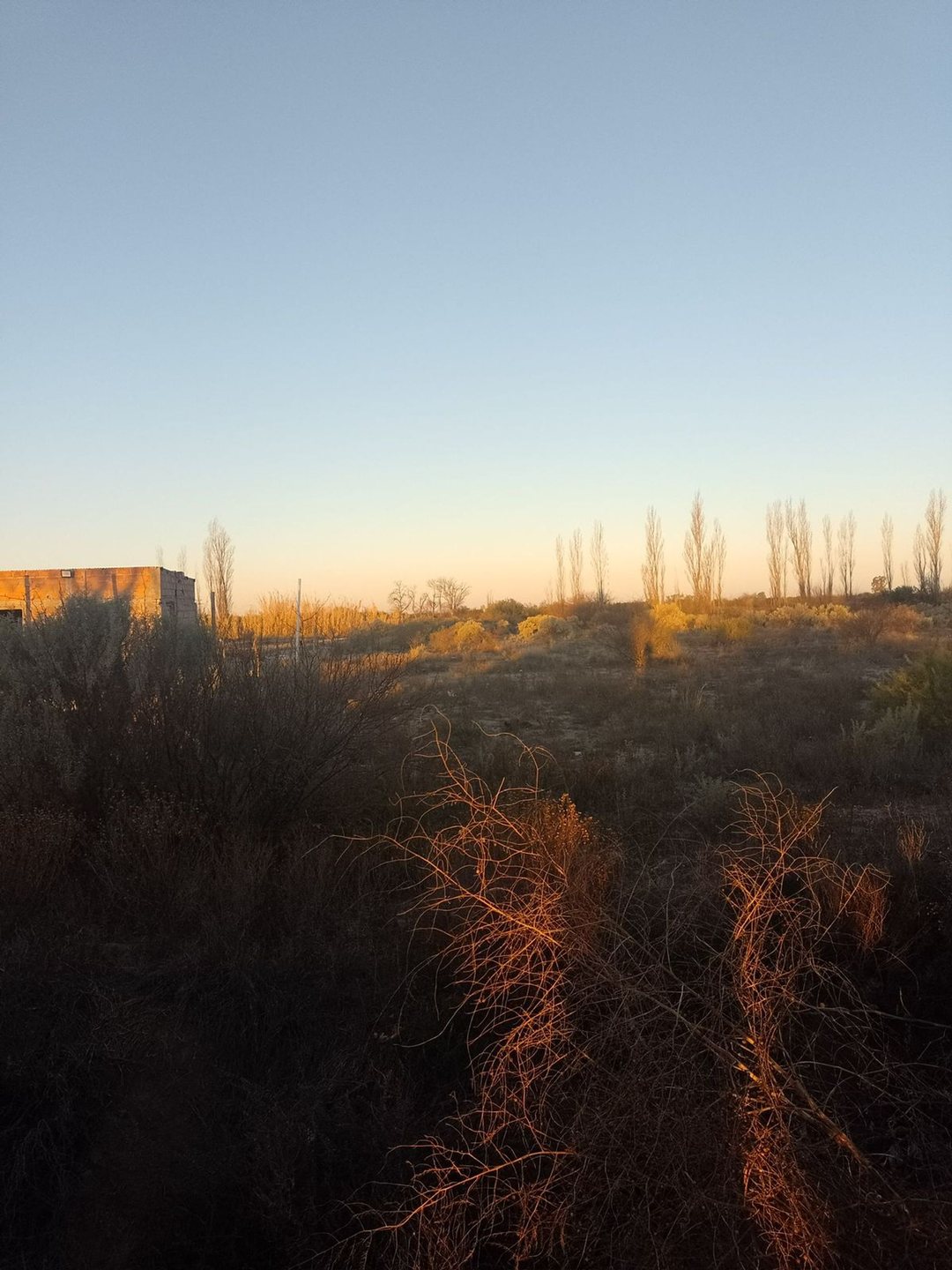 LOTES 2000M2 EN VILLA ANTIGUA, LA PAZ