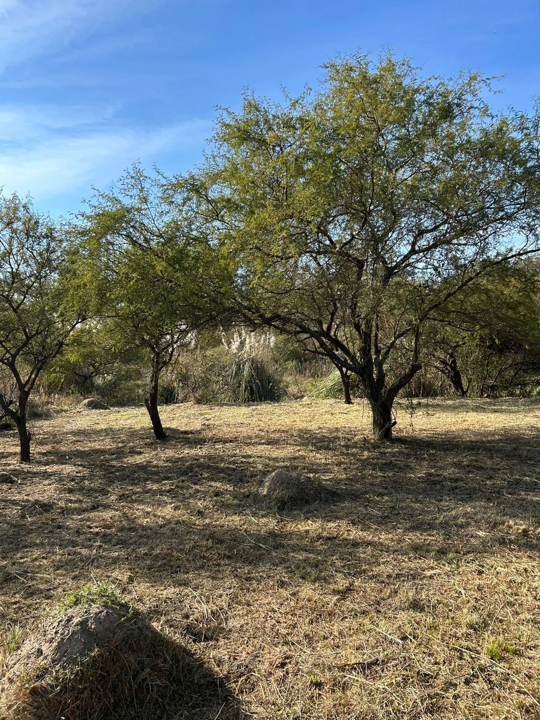 TERRENO EN VENTA VILLA CALIFORNIA SANTA FE