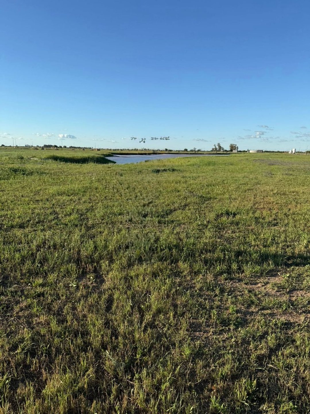 Venta Lote Nuevos Aires Sobre el Lago