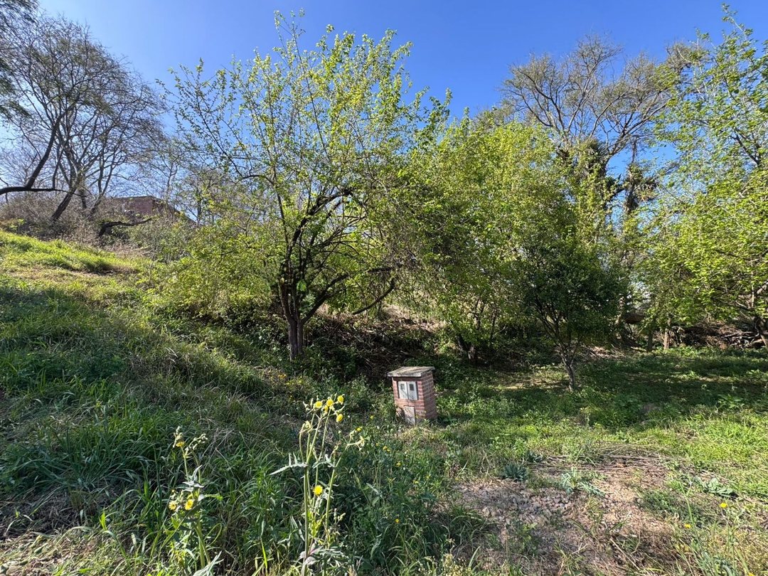 VENTA TERRENO 600m2 - BARRIO LAS MORAS