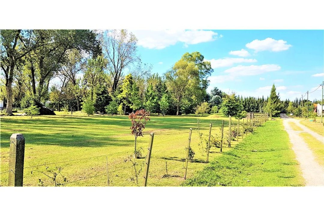 Lote de 820 m2 en "ROBLES DE ALVAREZ" etapa 1