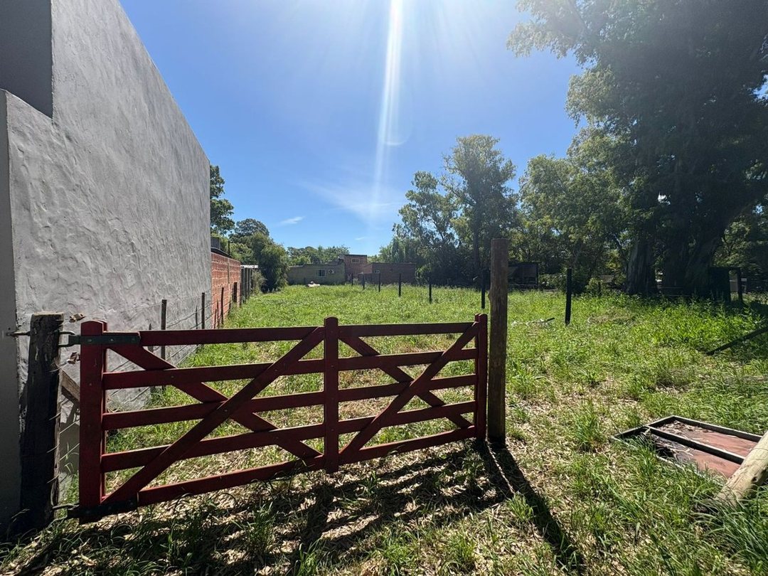 VENTA TERRENO EN SAN MIGUEL DEL MONTE