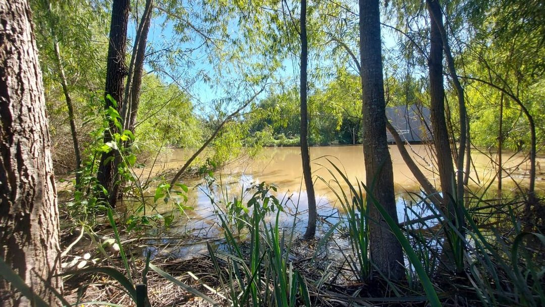 VENTA LOTE FRENTE AL AGUA EN MASCHWITZ ESCOBAR