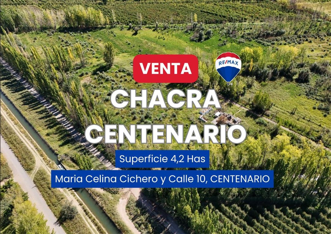 VENTA CHACRA 4,2 HAS CENTENARIO