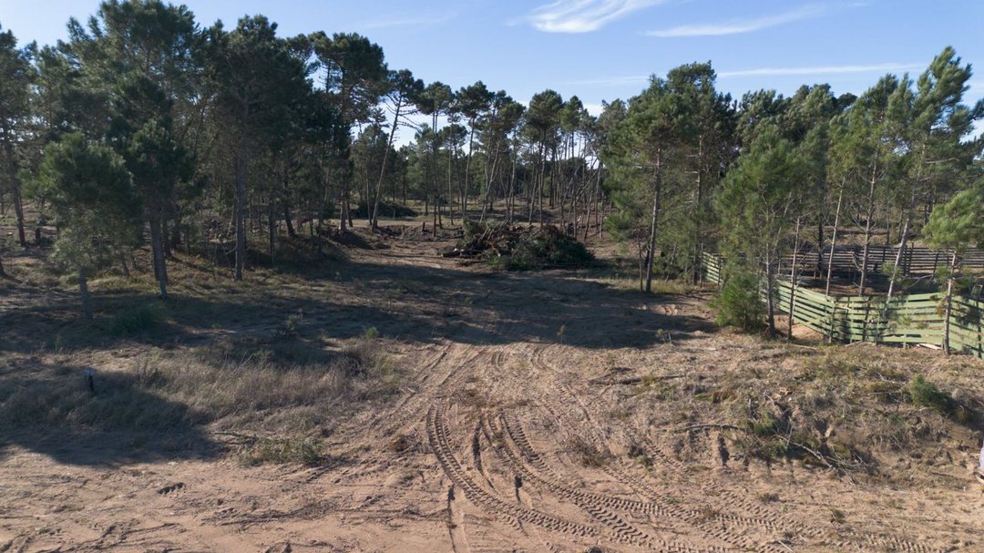 Lote en Venta en Barrio Bosques PINAMAR NORTE