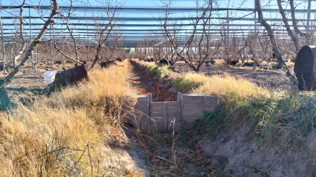 Venta finca productiva, General Alvear, Mendoza