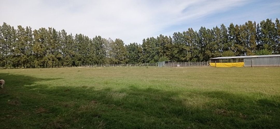 VENTA CAMPO EN CARDALES
