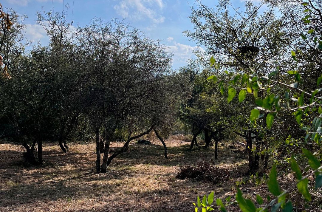 VENTA LOTE 1000 Mts EN VILLA EL ROSAL AGUA DE ORO