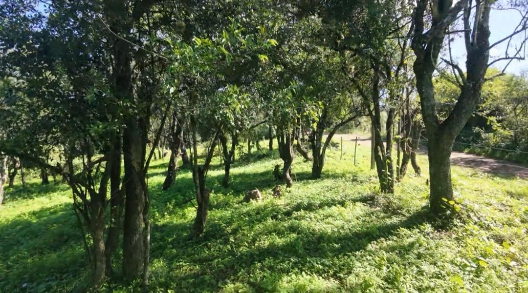 PREVENTA  LOTE  CON ESCRITURA CAMINO DE CUADRADO