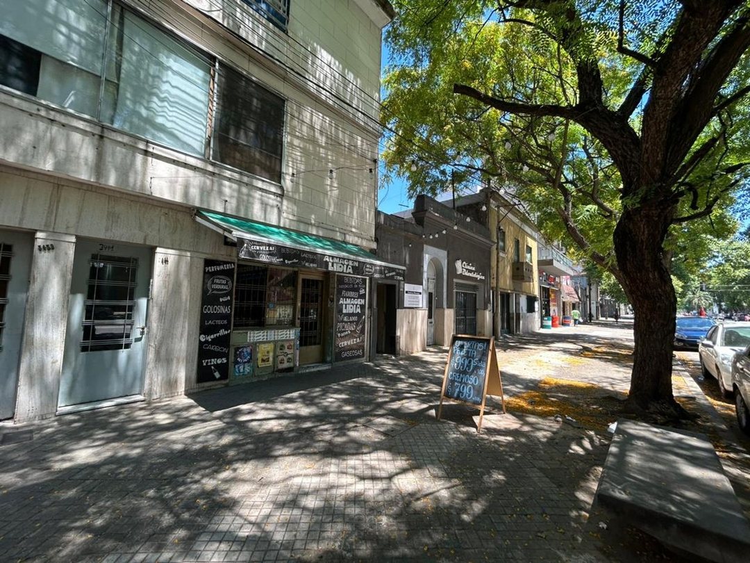 VENTA LOCAL FRENTE Y DOS VIVIENDAS EN PELLEGRINI