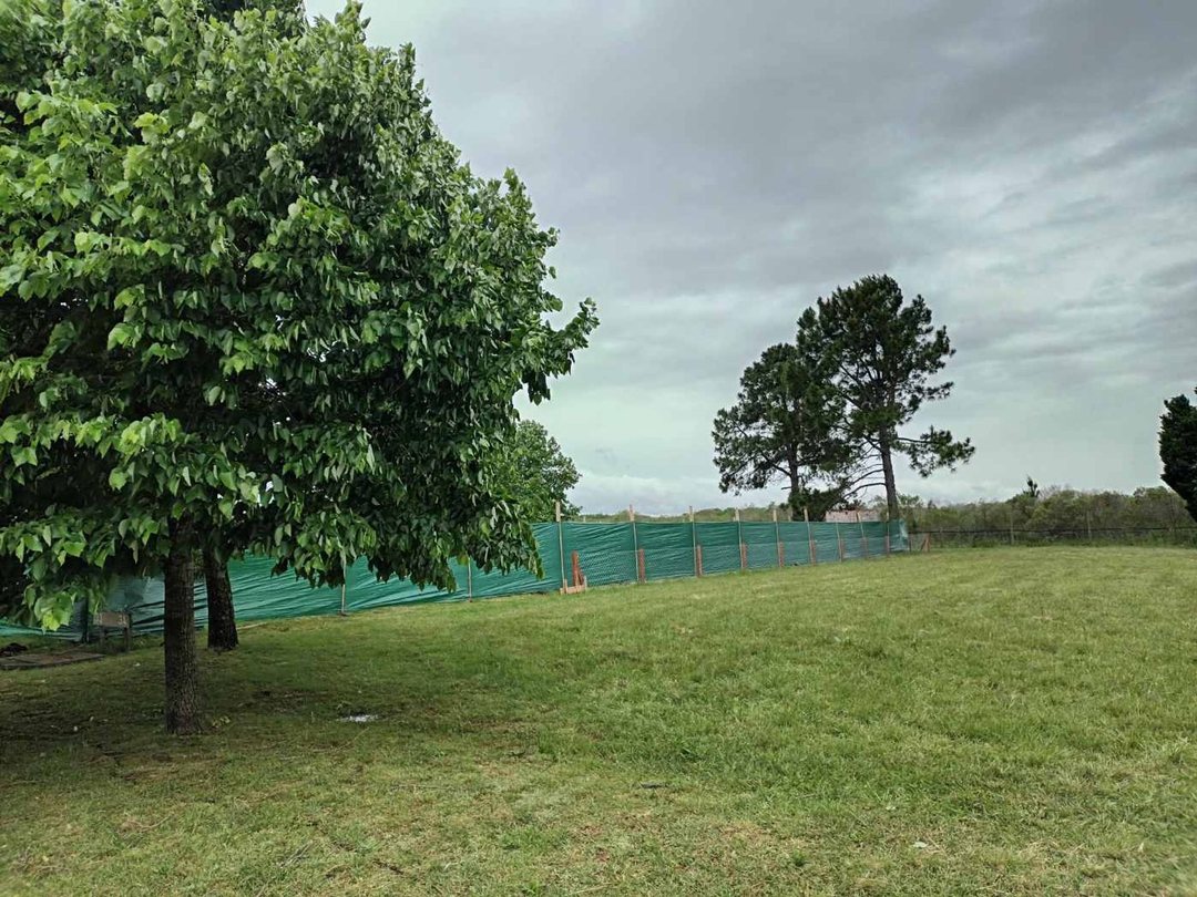 LOTE VENTA ALCANFORES PILAR - PROYECTO APROBADO