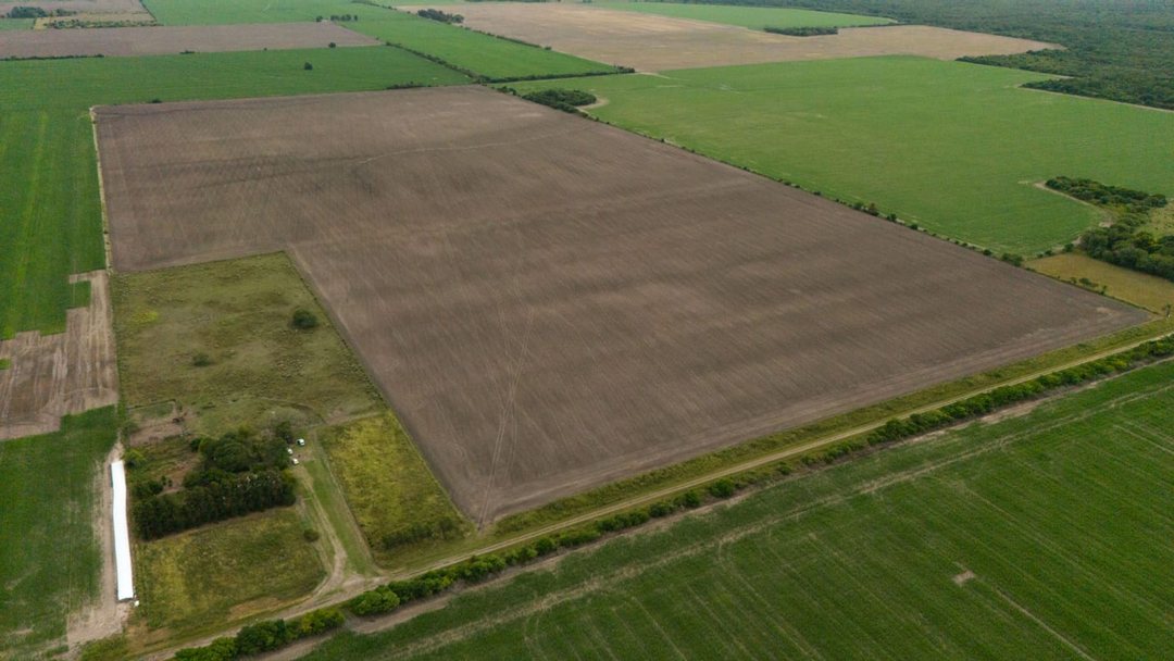 CAMPO AGRÍCOLA EN VICTOR MANUEL SEGUNDO