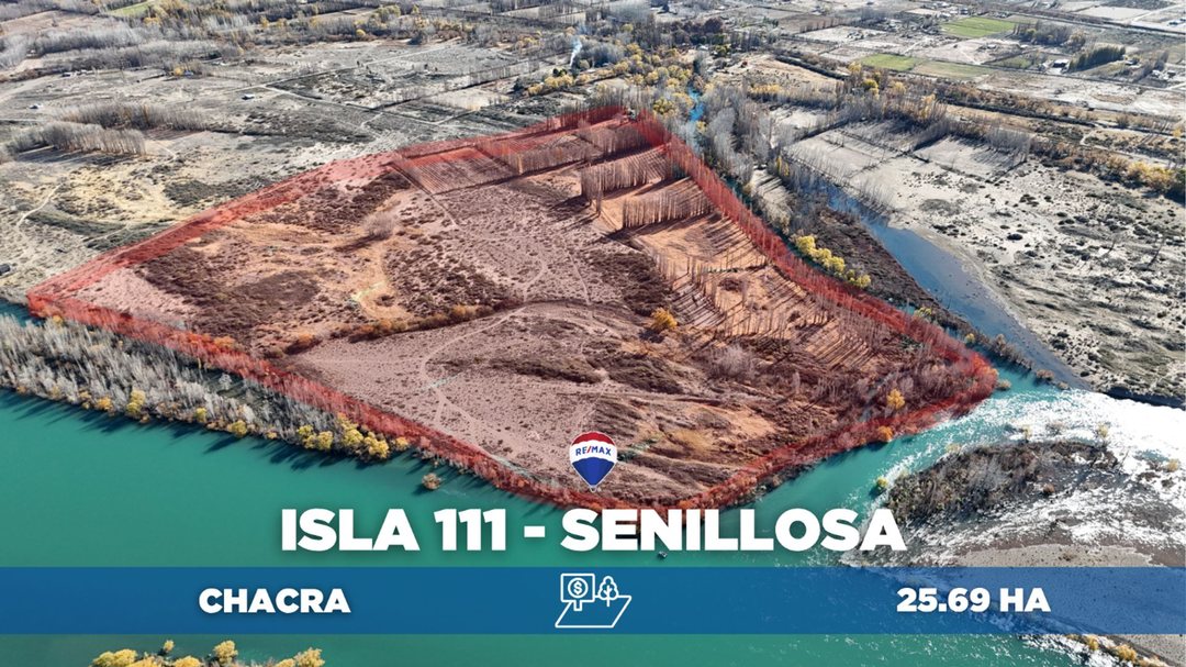 VENTA Chacra de 25,69ha en Isla 111, Senillosa