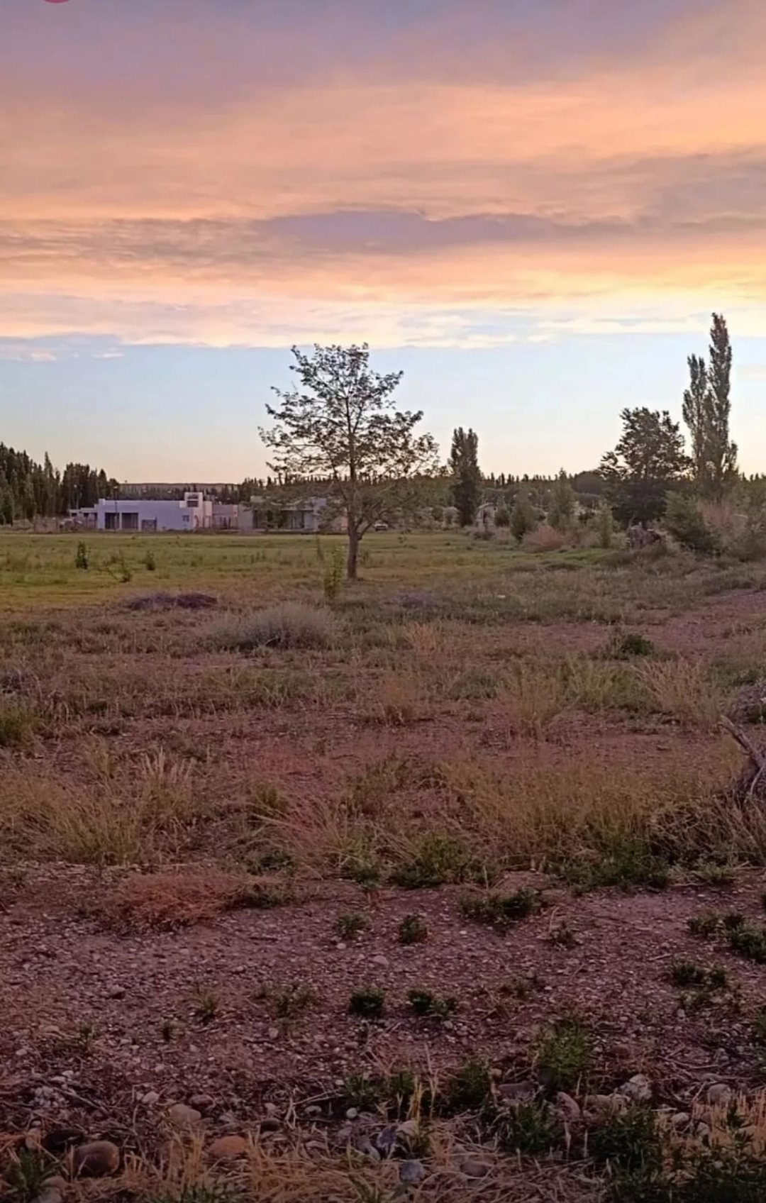 LOTE EN VENTA – VITERBORI AL 2500 | GENERAL ROCA
