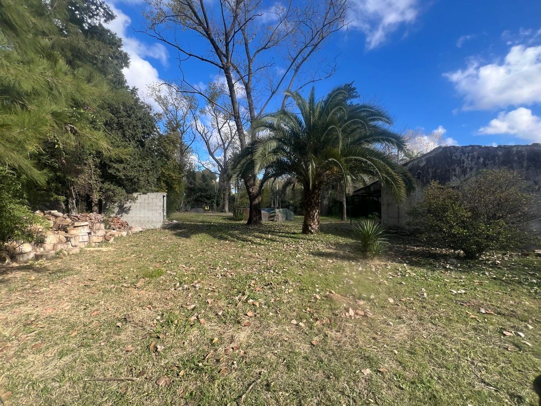VENTA TERRENO DE VICENZO GRANDE PIÑAR