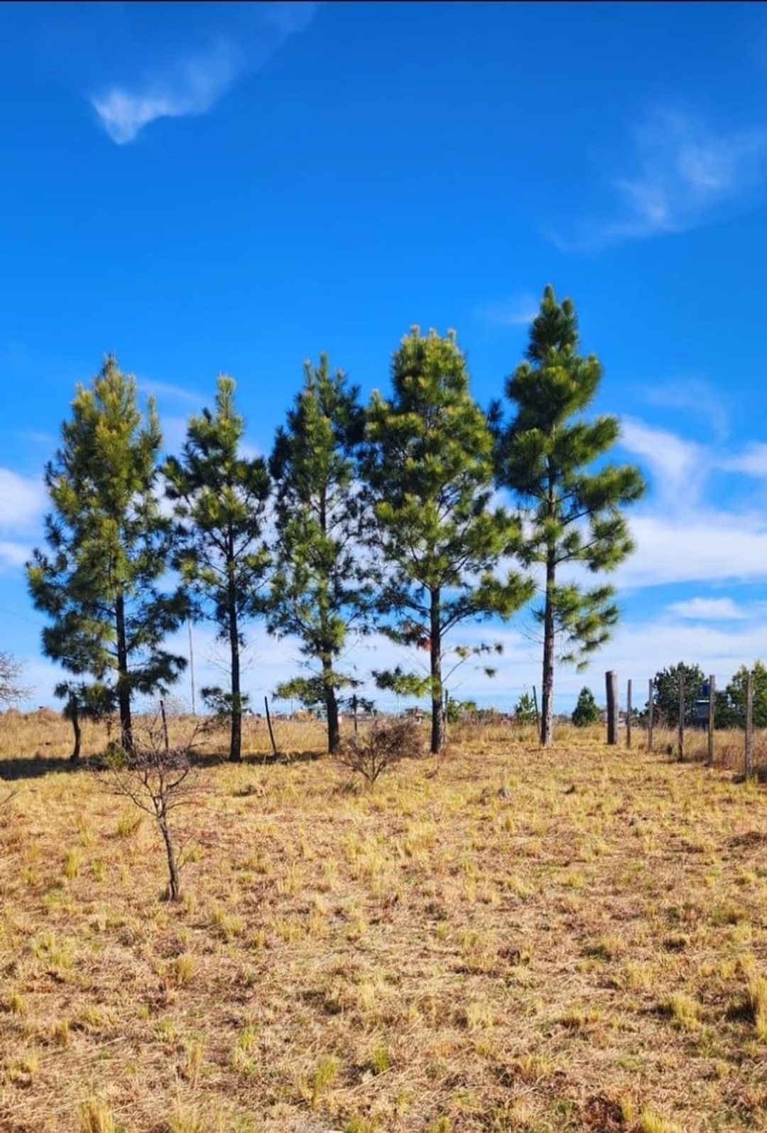 VENTA LOTE EN YACANTO 400 M2 ESCRITURA VISTAS