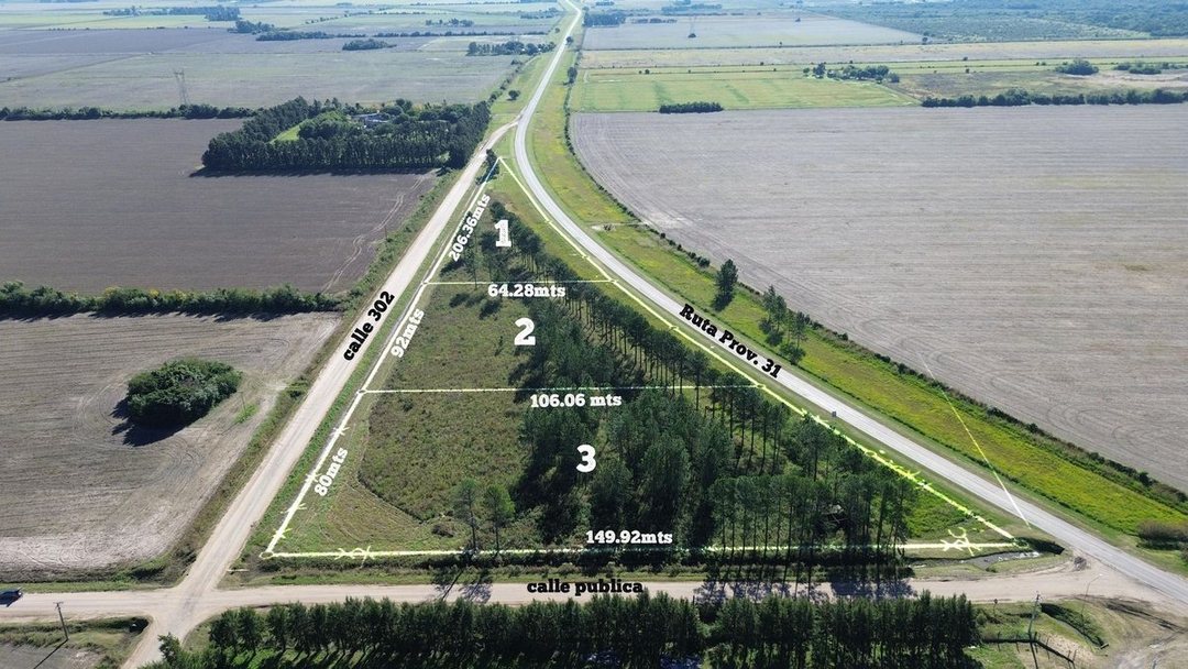 Se vende Lote de 2,39 hectáreas sobre RP 31 Avda