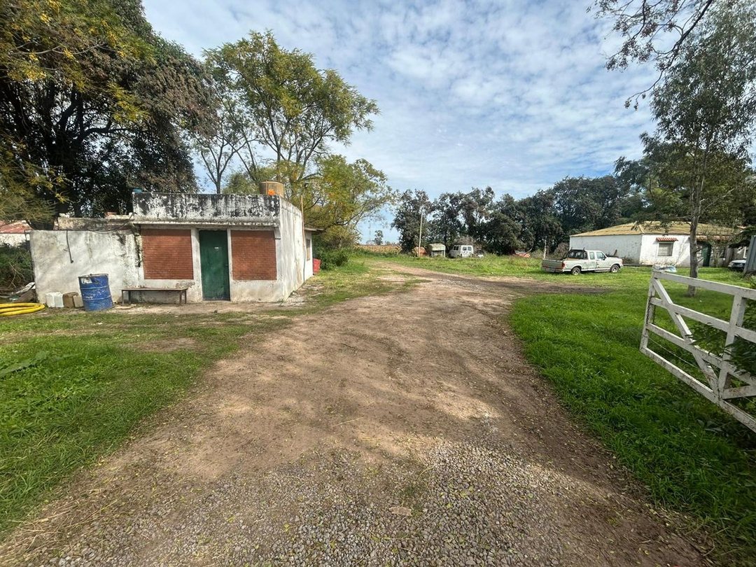 VENTA CAMPO EN FIGHIERA - 8 HECTAREAS