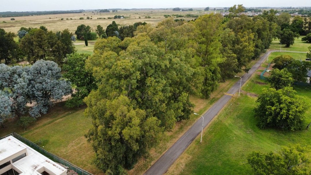 LOTE EN VENTA AL GOLF COUNTRY CLUB EL PARAISO