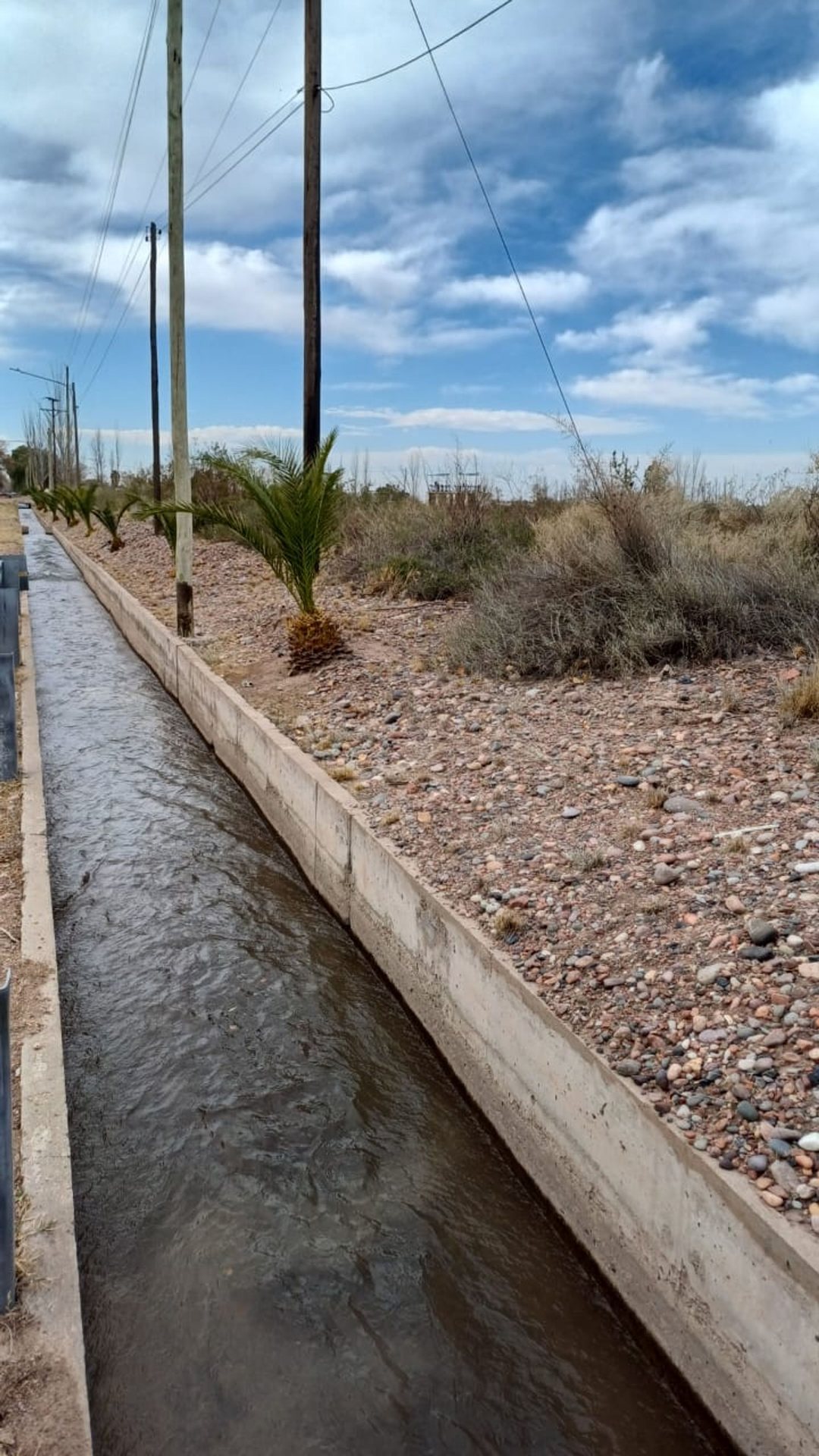 Campo en Cruz de Piedra Maipu apto para cultivo