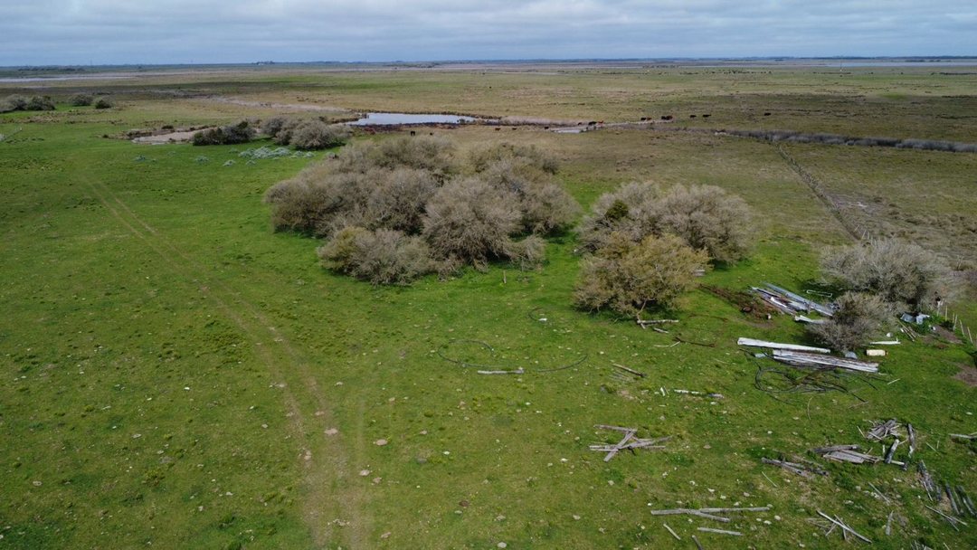 Campo Venta Gral. Lavalle 249 ha.- Sobre Asfalto
