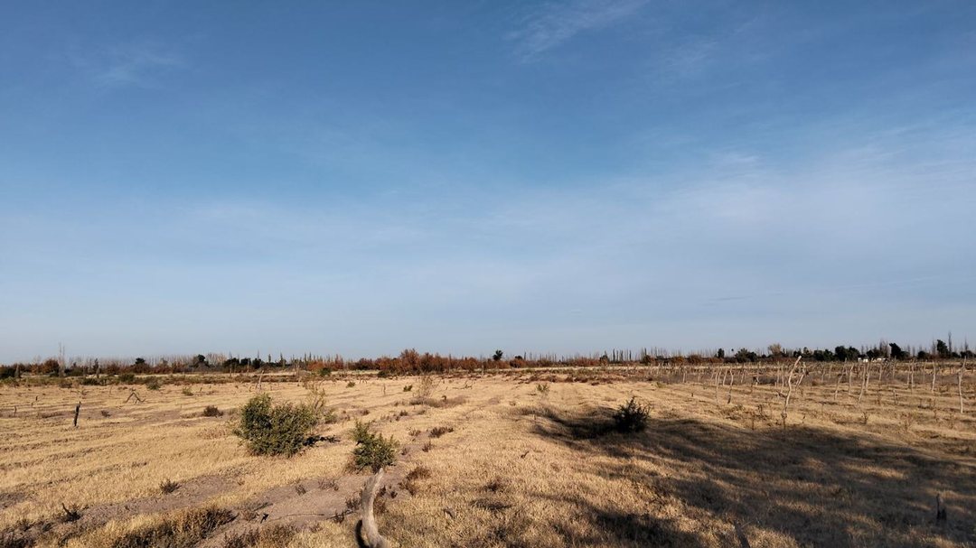 Venta Finca en Real del Padre, San Rafael, Mendoza