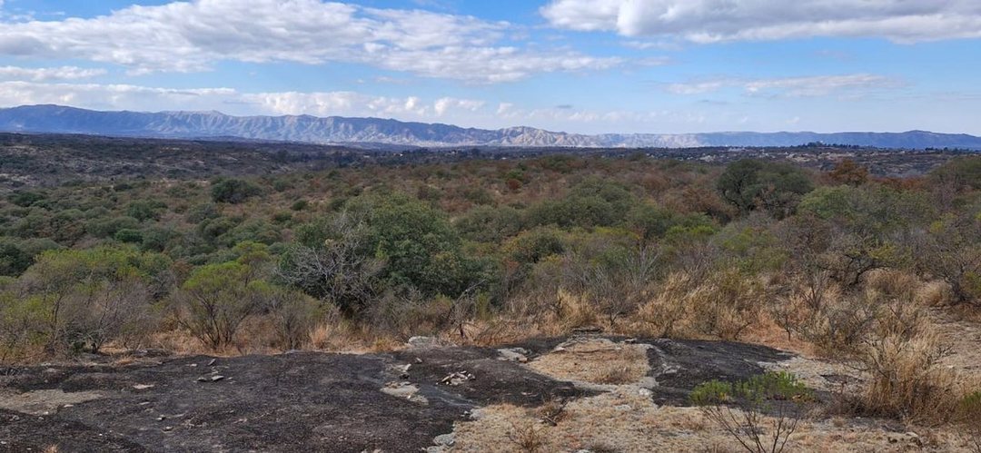 TERRENO 16 HECTAREAS CON BAJADA AL RIO TANTI NUEVO