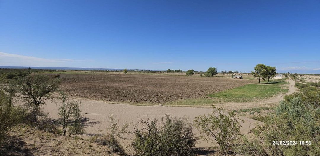 VENTA FINCA 120 HECTÁREAS  CARRIZAL LUJAN DE CUYO