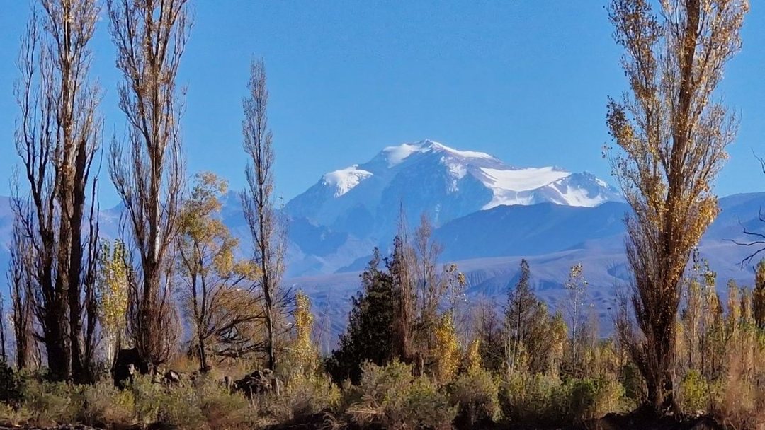 VENTA GRAN TERRENO 1,12 HAS EN BARREAL SUR