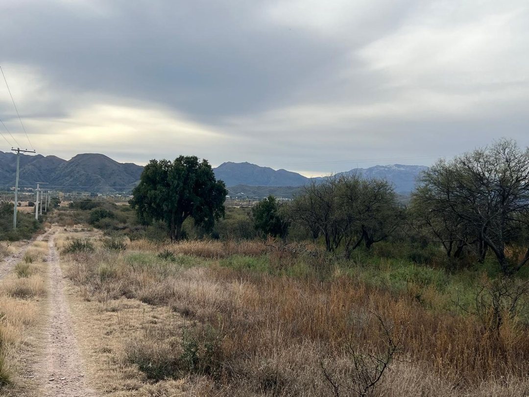SE VENDE 1 HECTAREA DE CAMPO