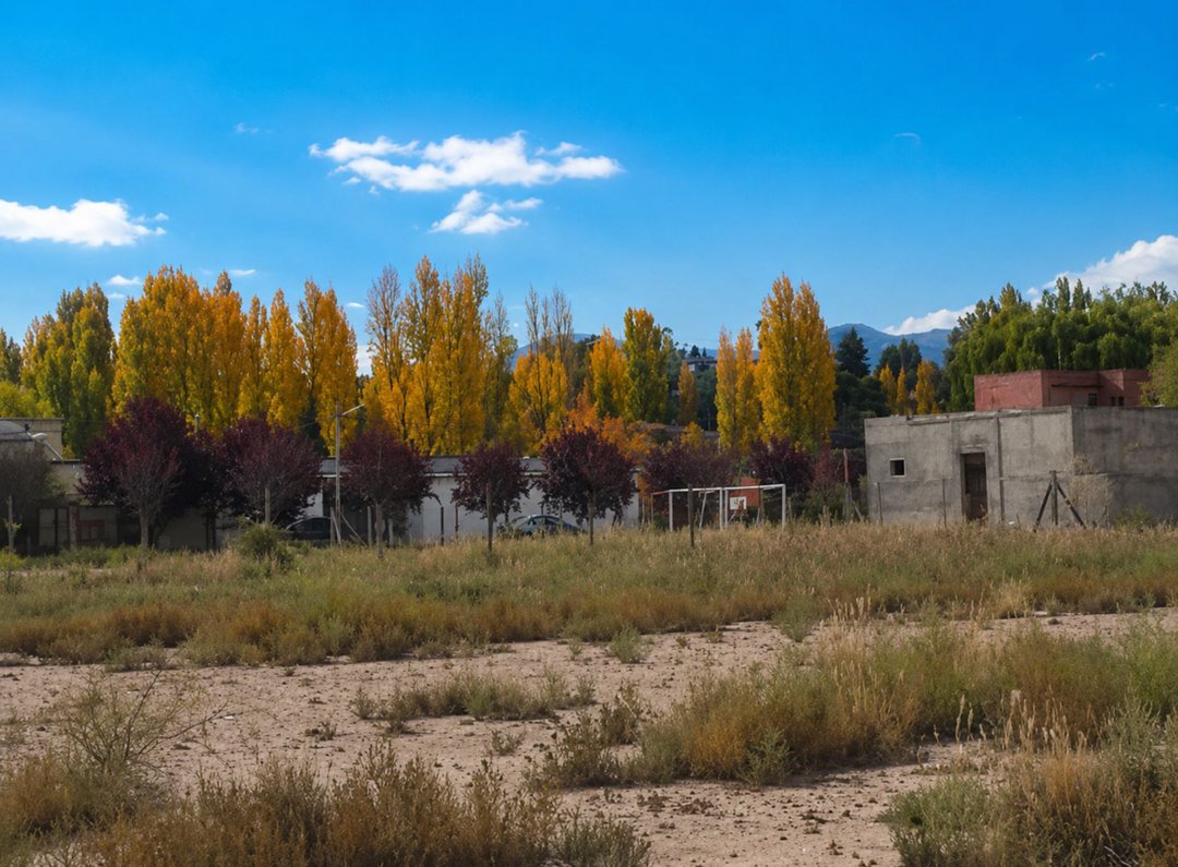 Lote Vistalba