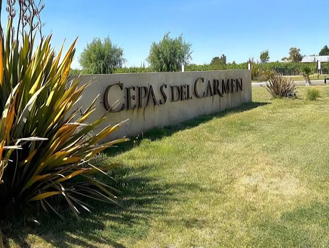TERRENO EN VENTA EN CEPAS DEL CARMEN- JUNIN