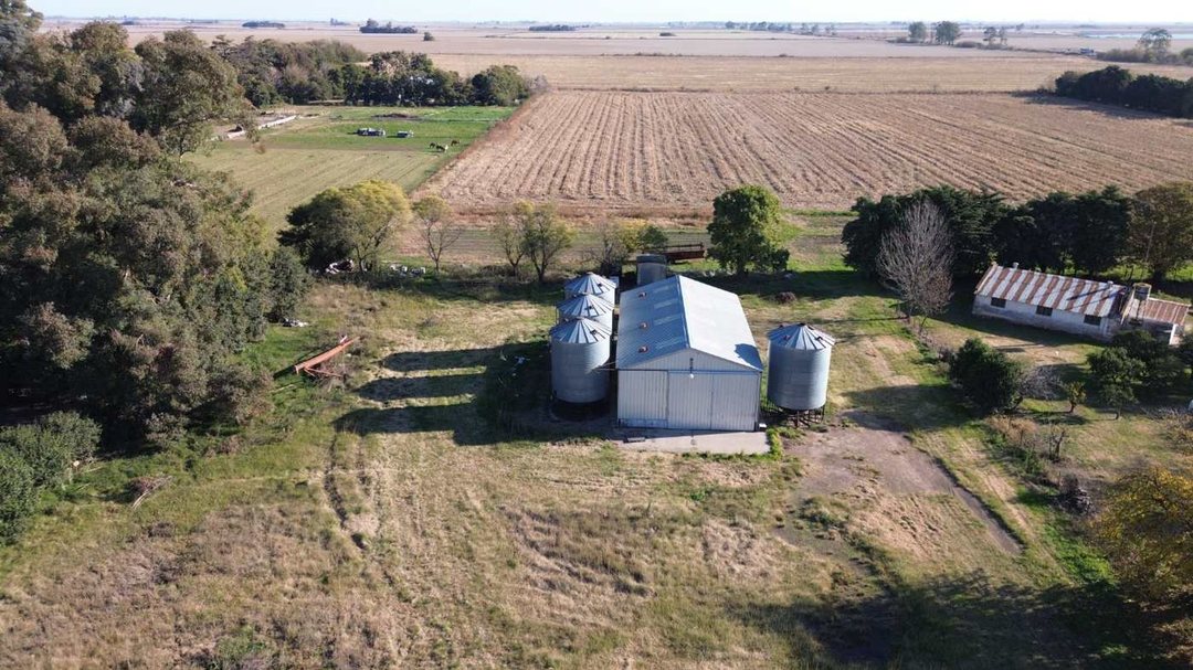 Se vende Galpón c/piso alto tránsito+ 4 silos 60tn