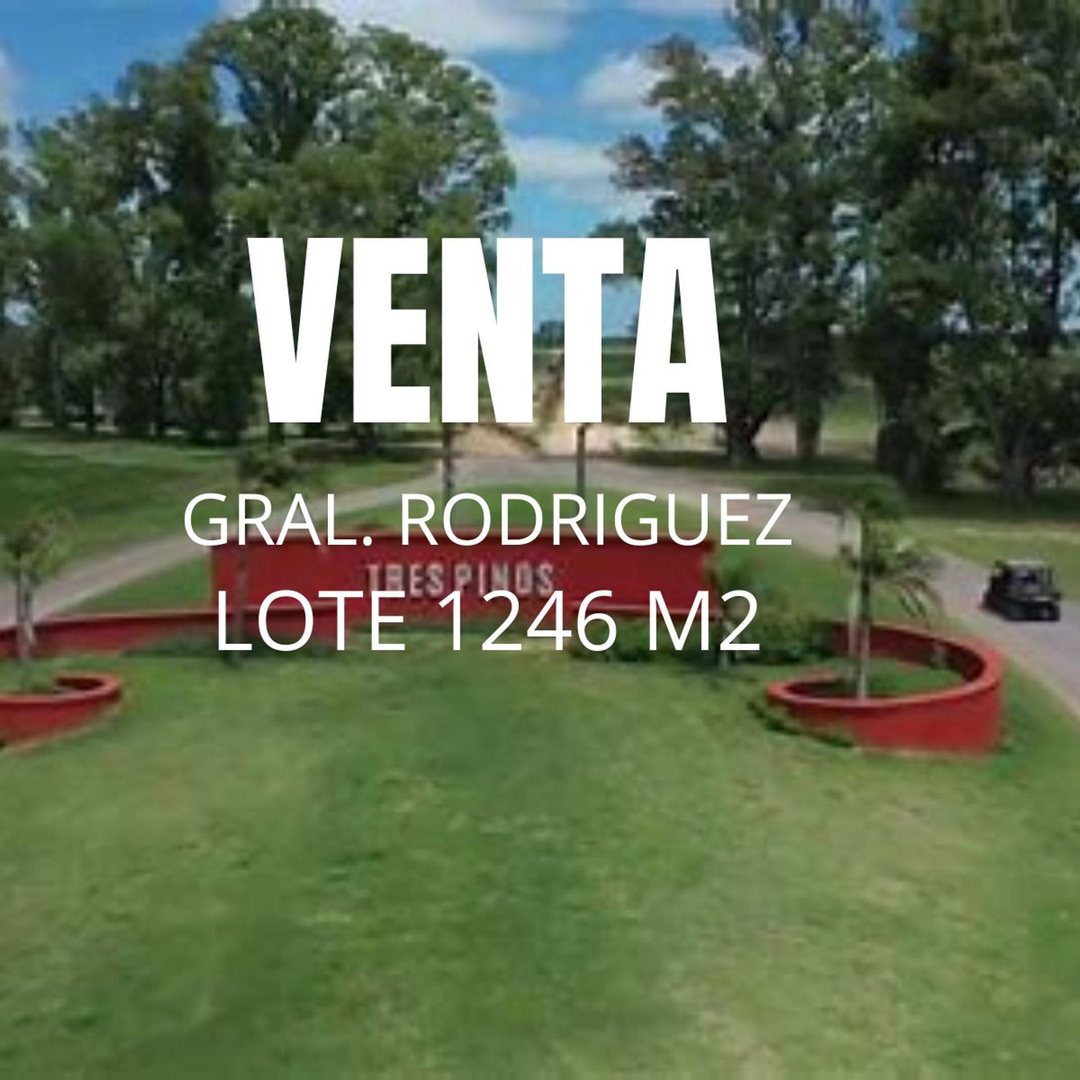 Lote Barrio Norte 1.246 M2 Tres Pinos