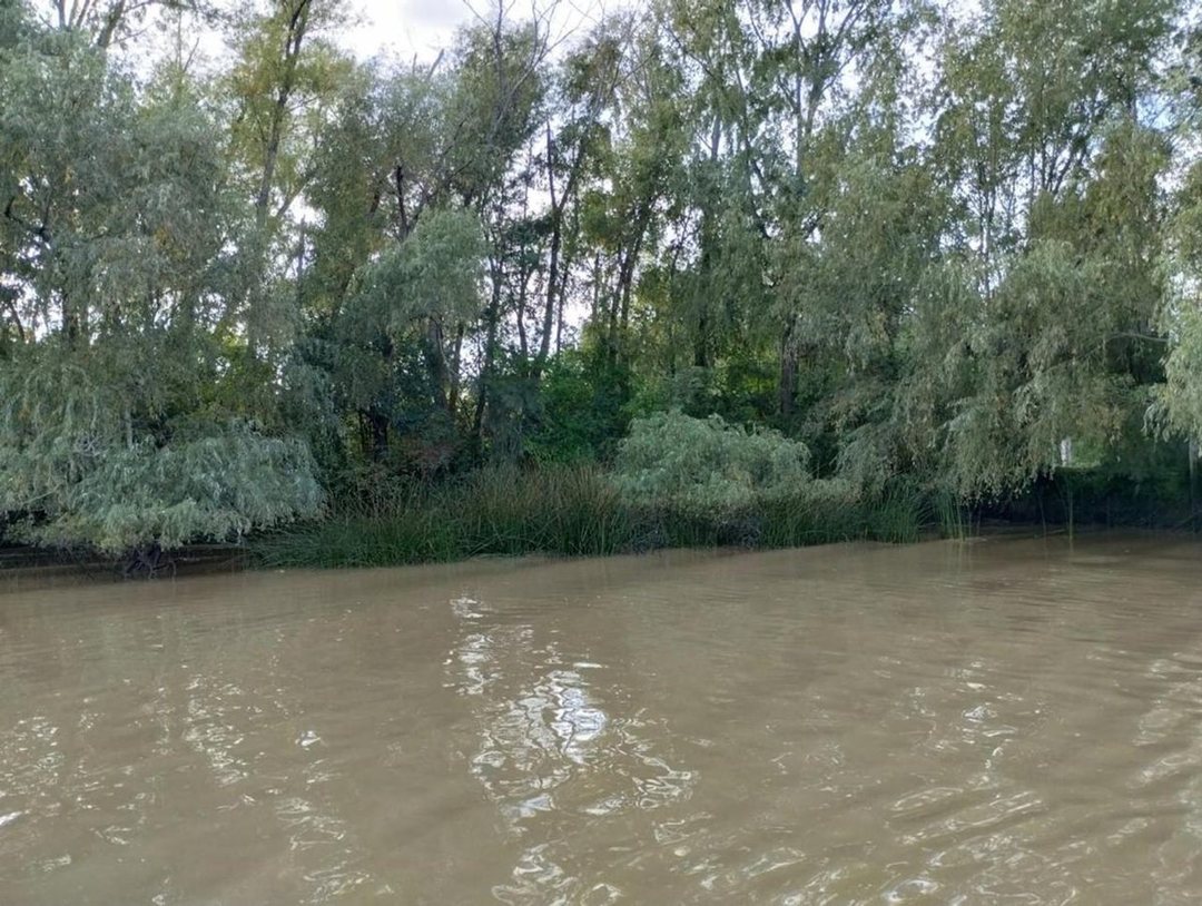 VENTA DE LOTE EN EL DELTA DE TIGRE PRIMERA SECCIÓN