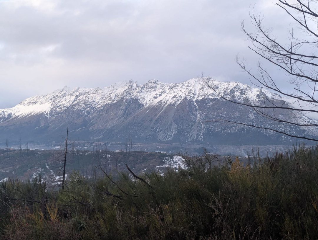 Cerro Radal 1 Hectárea con Vista al Piltriquitrón