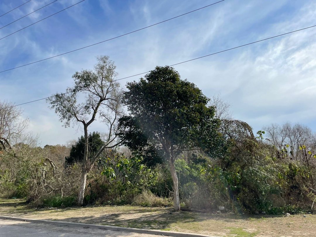Venta Terreno en la Costa de Villa Domínico