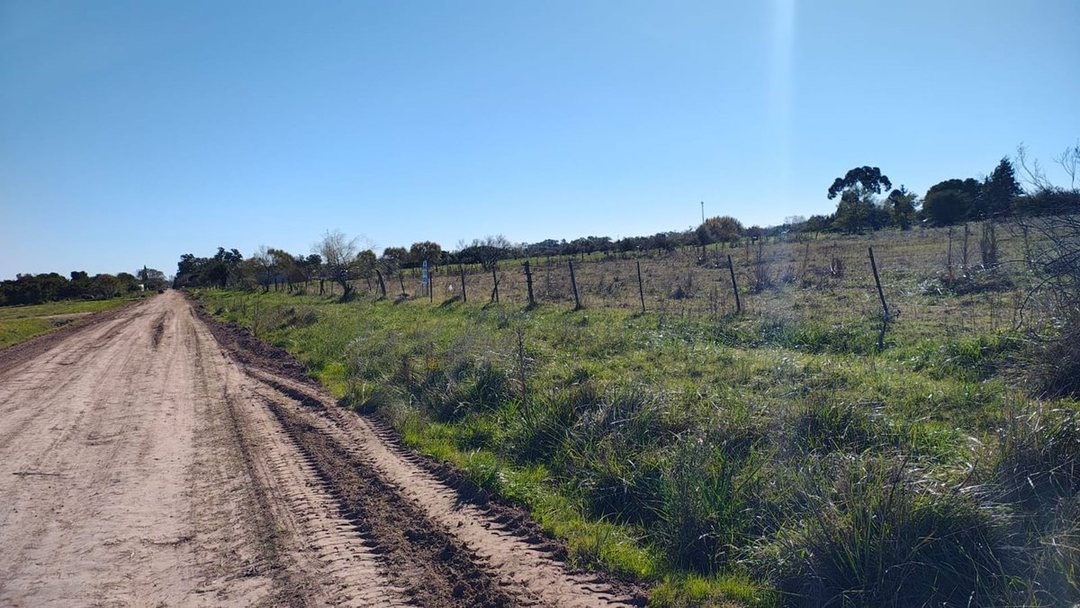 Lotes en venta en Dolores