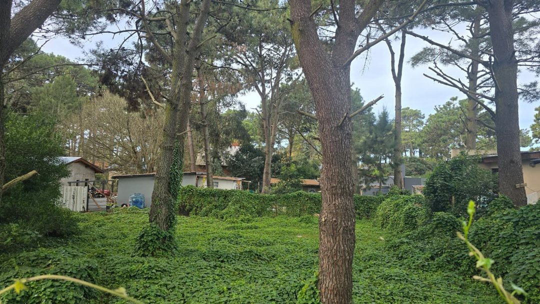 VENTA LOTE RESIDENCIAL UNIFAMILIAR OSTENDE