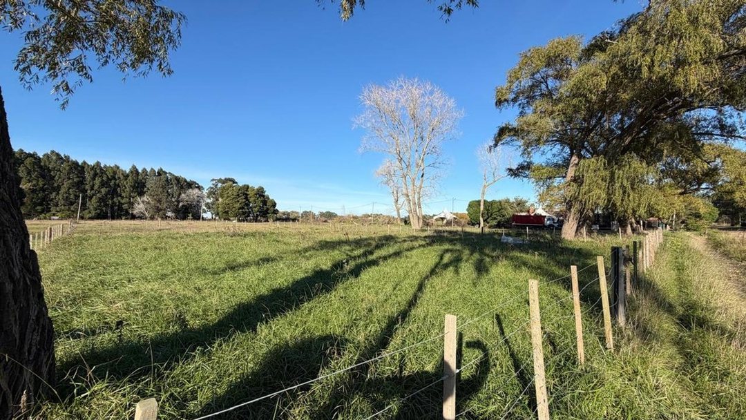 Terreno/Lote  en venta General Madariaga
