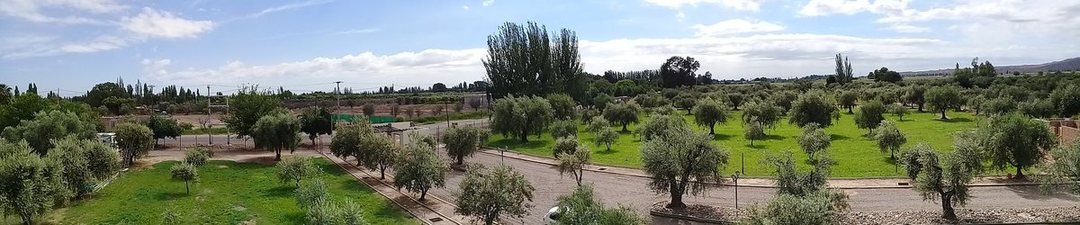 Lote Frontal en venta en Barrio Olivos de Furlotti