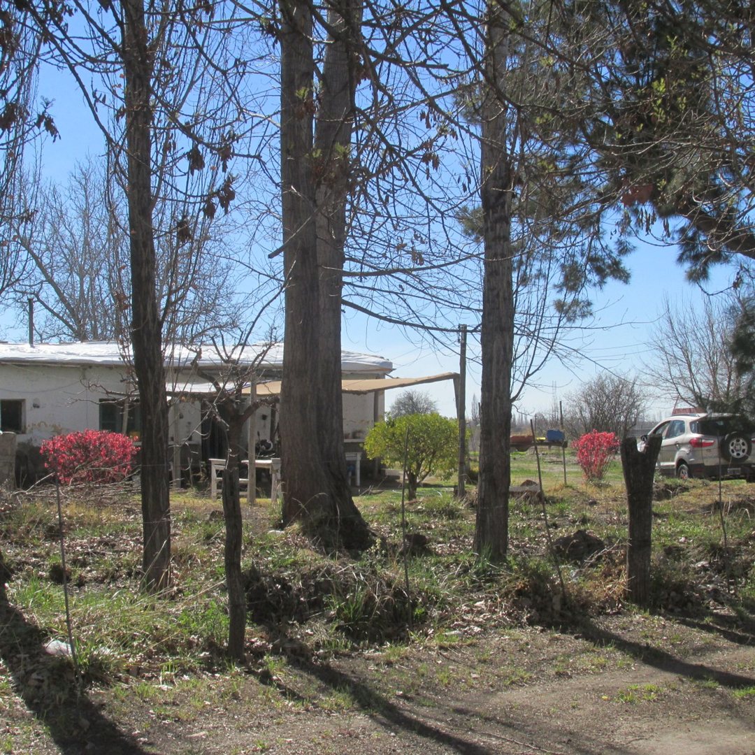 Terreno 2,5 has en Venta La Consulta Valle de Uco