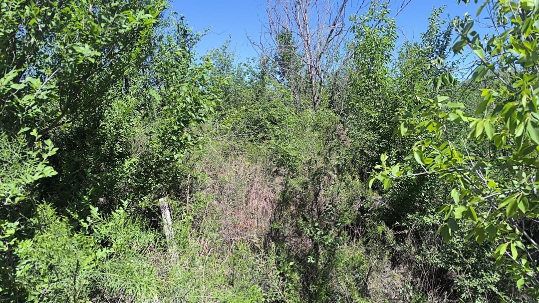 VENTA LOTE PARQUE PSIQUIMAN 914 M2